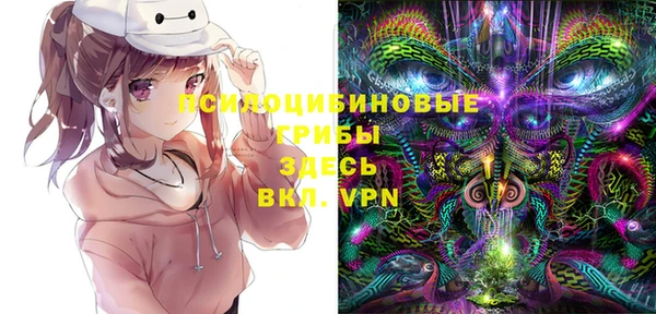 соль курить ск Костерёво