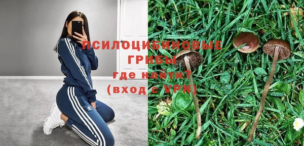 соль курить ск Костерёво