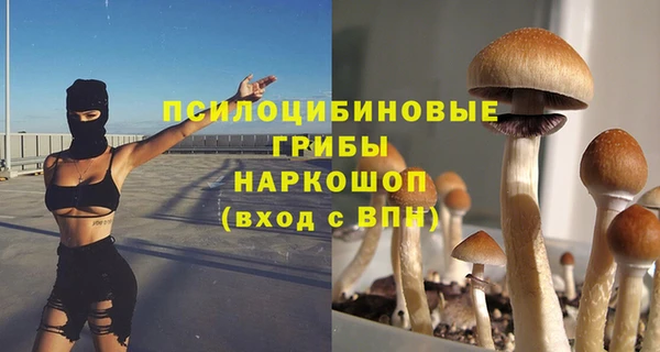 соль курить ск Костерёво